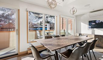 447 E Cooper Ave 1, Aspen, CO 81611