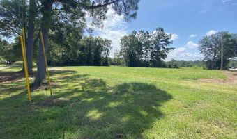 20 George Mitchell Rd, Carriere, MS 39426