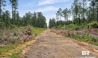 Green Town Road, Bay Minette, AL 36507