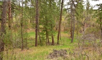 9017 Pine Ave, Beulah, CO 81023