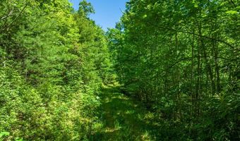 Tbd Chastain Valley Road, Highlands, NC 28741