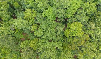 Brewer Hill, Batesville, AR 72501