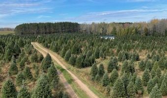 N680 HWY 45, Antigo, WI 54409
