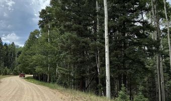 Back Basin Road lot 4, Angel Fire, NM 87710