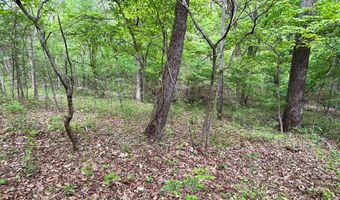 County Road 544, Bakersfield, MO 65609