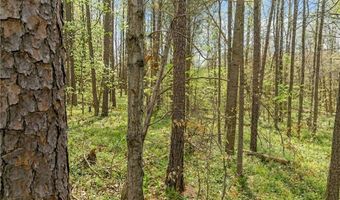 Seay Drive, Advance, NC 27006