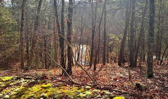 KING Street, Basye, VA 22810