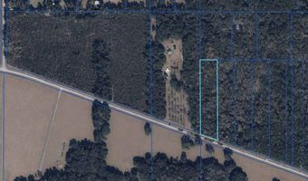 8146 SW COUNTY ROAD 346, Archer, FL 32618
