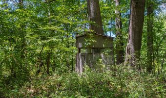 28 Mile Rd, Albion, MI 49224