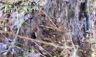 NNA W SIDE Rd, Bonners Ferry, ID 83805