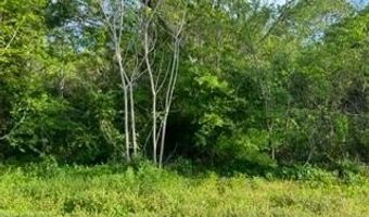 230 23rd Ave Lot L16 & 17/B233, Apalachicola, FL 32320
