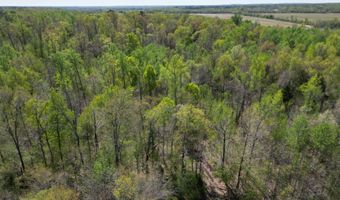 TRACT 3 W MAIN, Adamsville, TN 38310