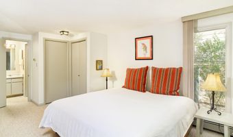 935 E Hopkins Ave 6, Aspen, CO 81611