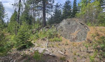 23 Sawtooth Loop, Cascade, ID 83611