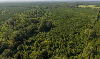 235 Woodrow Martin Rd, Brandon, MS 39042