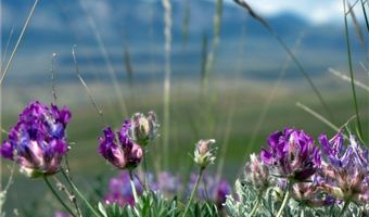Tbd Richland Trail Clark Wyoming 80, Clark, WY 82435