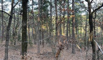 175626 Boulder Rd, Antlers, OK 74523