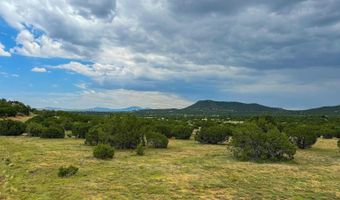9 County Road 3036, Concho, AZ 85924