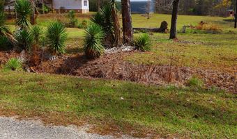550 Forest Blvd 2 Additional Adjacent Lots Included, Abbeville, AL 36310