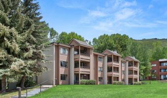 412 Vine St, Aspen, CO 81611