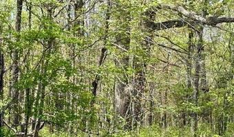 State Highway 76, Ava, MO 65608