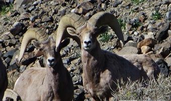 Lots 36 37 38, Carson City, NV 89415