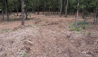 Lot 2 Quattlebaum Drive, Leesville, SC 29072