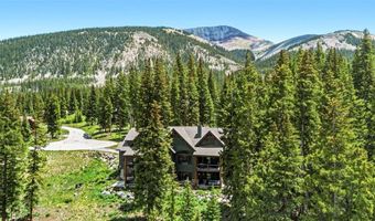 50 Cooney Ct, Blue River, CO 80424