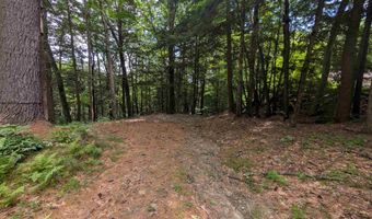 47 Green Acres Dr, Bristol, NH 03222