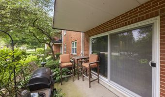 809 E Miner St 1B, Arlington Heights, IL 60004