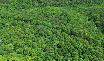 E Mountain Road, Bee Branch, AR 72013