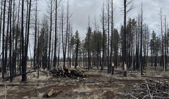 1100 Yellow Pine Rd, Bly, OR 97622