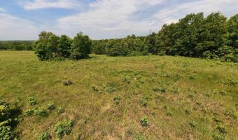 N County Road 113, Alton, MO 65606