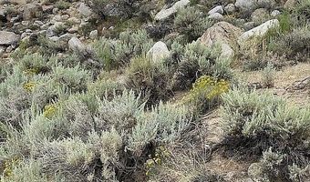 75 C Wildhorse Run, Dyer, NV 89010