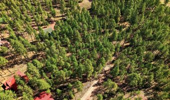 11 County Road 2135, Alpine, AZ 85920
