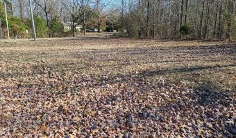 Shore Drive, Big Sandy, TN 38221