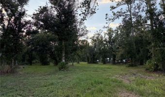 SE TOWNSEND AVENUE, Arcadia, FL 34266