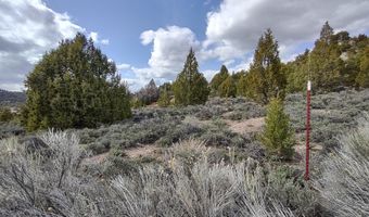 unit 10 10, Alton, UT 84710