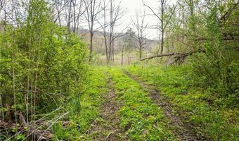 E Captina Highway Road, Alledonia, OH 43902