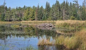 9606 Munger Rd, Afton, MI 49705