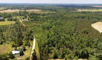 Lot # 1 - 6.2 Ac Perry Horton, Adrian, GA 31002
