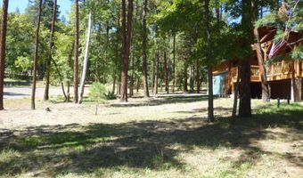 3 CR 2190, Alpine, AZ 85920