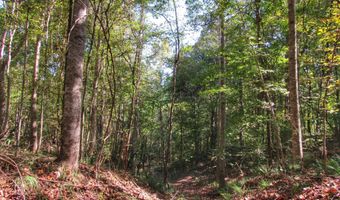 Anding Oil City Road, Bentonia, MS 39040