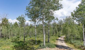 90 ELK Dr, Bondurant, WY 82922