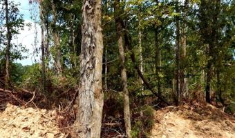 590 County Road 247, Bruce, MS 38915