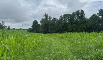 37928 Buck Run Rd, Albany, OH 45710
