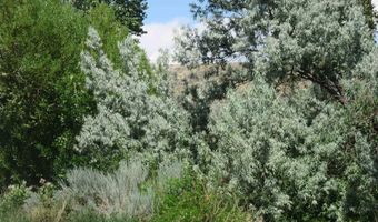 28 Mustang Ln, Cody, WY 82414