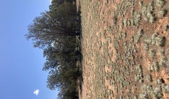 00 Off Of Rainy Rd, Ash Fork, AZ 86320