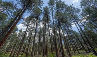 265 Pine Valley Rd, Bayfield, CO 81122