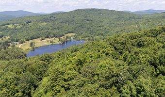 Timberland Drive, Andes, NY 13731